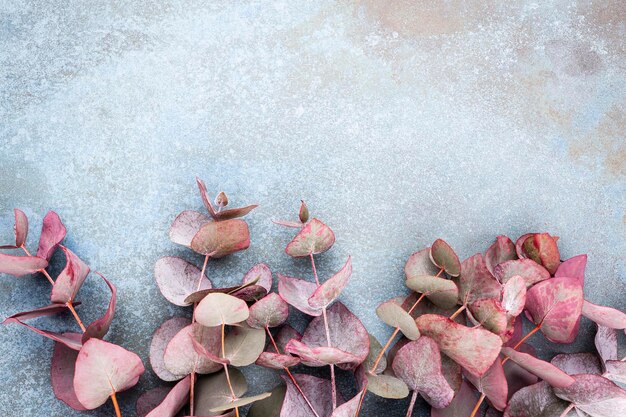 Eucalyptus samenstelling. Patroon gemaakt van verschillende kleurrijke bloemen op witte achtergrond. Plat lag stil leven.