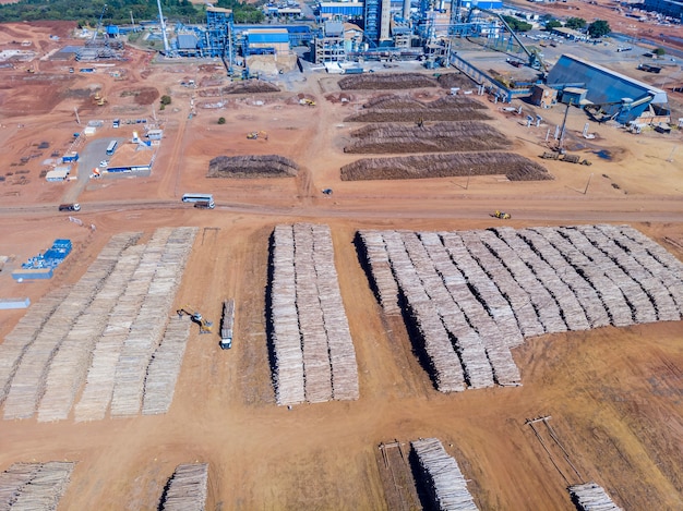 Eucalyptus trunks in a soluble cellulose and special cellulose plant