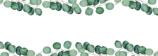 Eucalyptus watercolor border Hand painting clipart on an isolated background Print for wedding invit