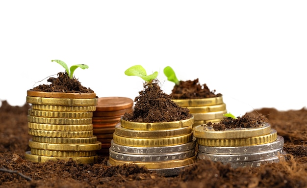 Euro coins and plant sprouts financial growth concept