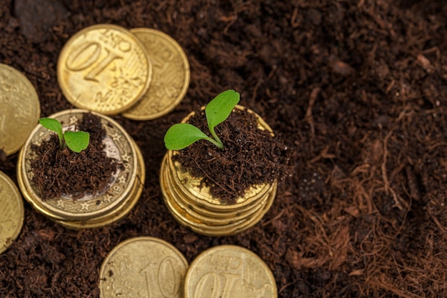 Монеты евро и ростки растений концепция финансового роста