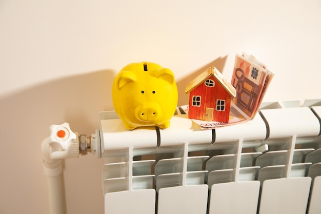 Euro money and piggy bank on the heating radiator