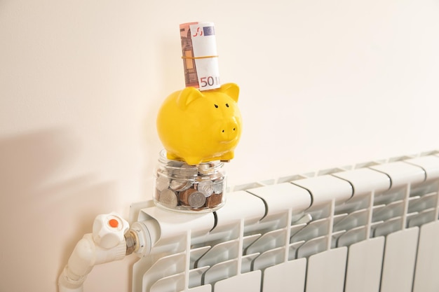 Euro money and piggy bank on the heating radiator