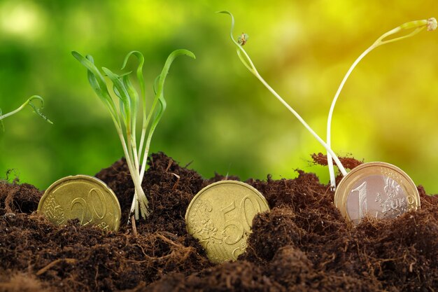 Euromunten en plantspruiten financieel groeiconcept