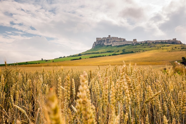 Viaggio in europa in slovacchia