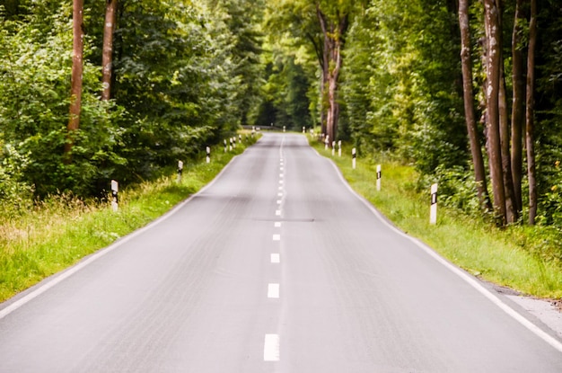 European Asphalt Forest Road in Westfalia Duitsland