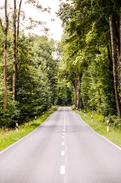 European Asphalt Forest Road in Westfalia Germany