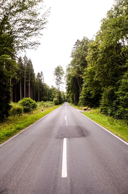 Photo european asphalt forest road