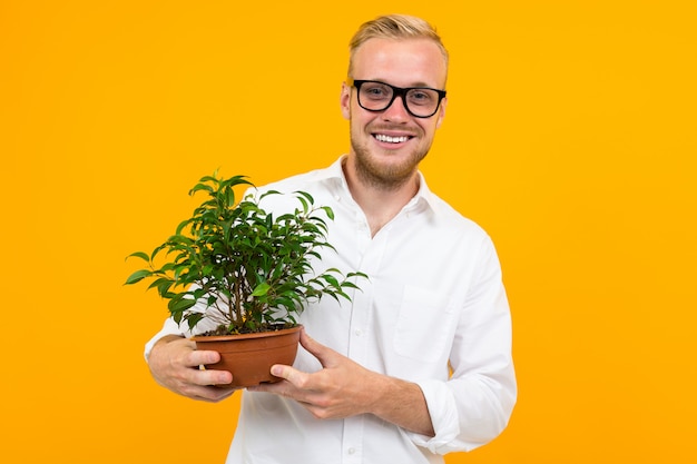 European blond man in a classic white shirt holds a potted plant on yellow