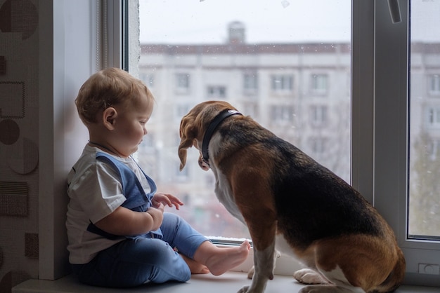 Il ragazzo europeo e il beagle seduti sul davanzale della finestra guardano la neve fuori dalla finestra