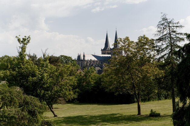 European city high town hall nature ecology