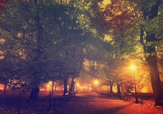 European city park with benches at night in autumn vintage background