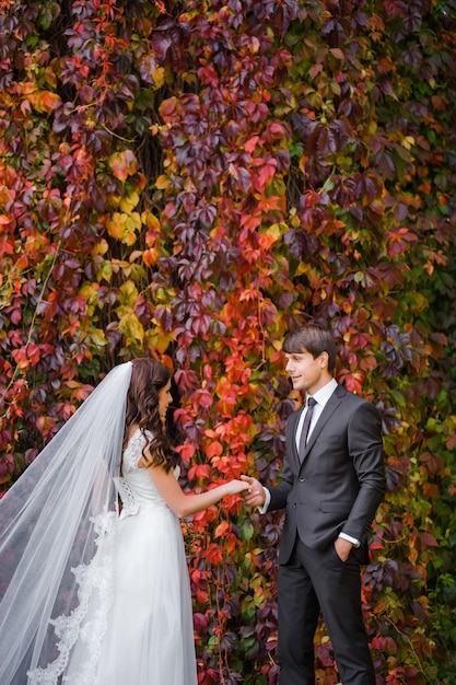 European couple wedding day