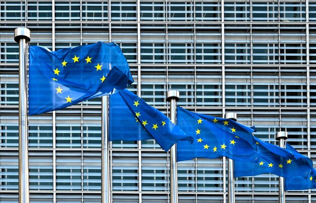 Photo european flags in brussels