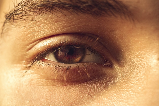 European guy's eye close up