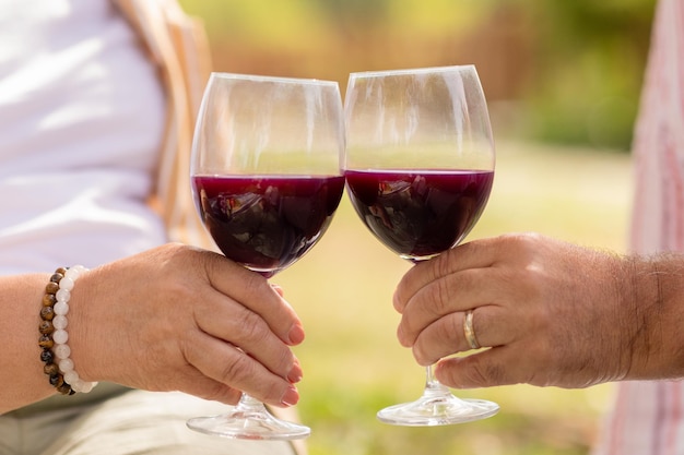 European mature couple cheers with glasses of red wine enjoy picnic date in park outdoor cropped