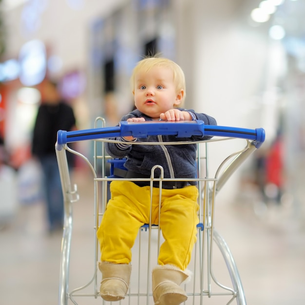 European toddler boy sitting in the shopping cart