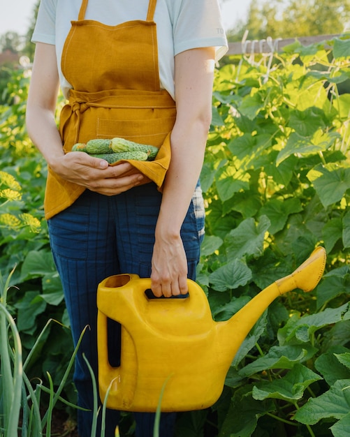 A european woman with a yellow watering can is watering vegetables and fruits in her garden a