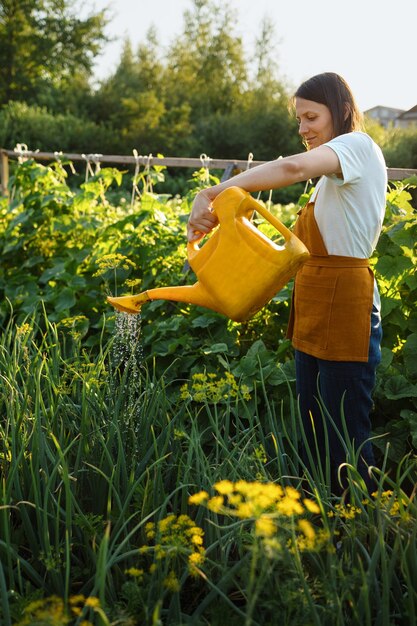 A european woman with a yellow watering can is watering vegetables and fruits in her garden a