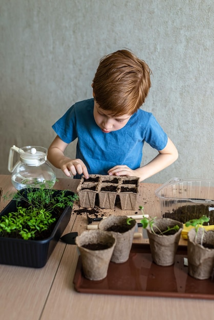 Europese gemberjongen die de grond voorbereidt voor het verplanten van een potplant thuis tuinieren het concept van het leren groeien van planten voor kleuters en het onderwijzen van kinderen over bomen in de natuur