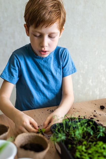 Europese roodharige jongen bereidt de grond voor het verplanten van potplanten thuis tuinieren concept van leren planten te kweken voor kleuters Verticaal