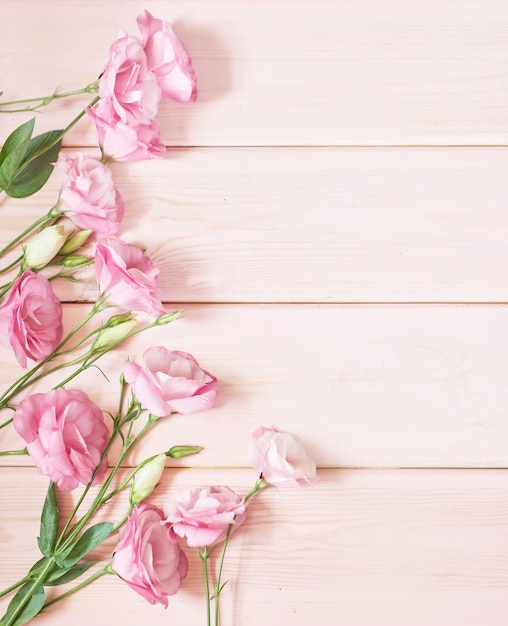 eustoma bloemen op roze