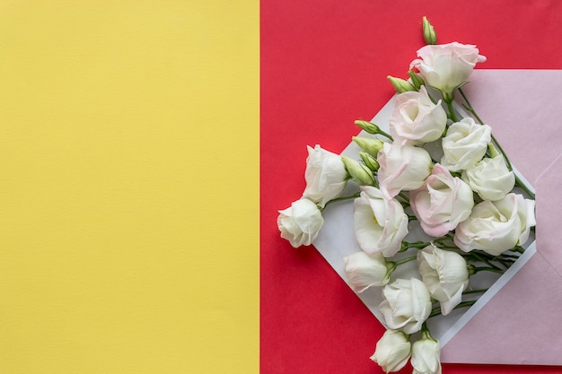 Eustoma flowers with envelope on colorful background.Opened envelope with white flowers arrangements.Festive greeting concept.bright fresh composition