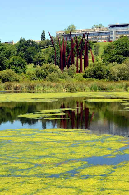 Eutrophication by algae in a freshwater reservoir in vertical view