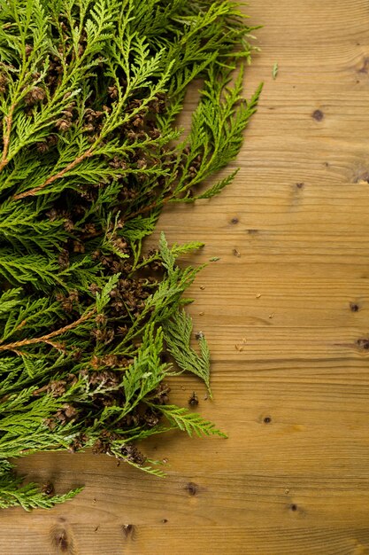 Evegreen branches on stained wood table.