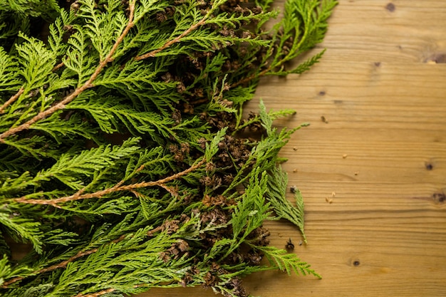 Foto evegreen takken op gebeitste houten tafel.