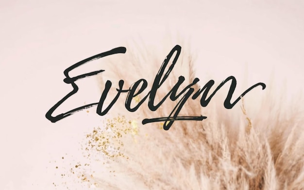 Evelyn text with black letters and a light background