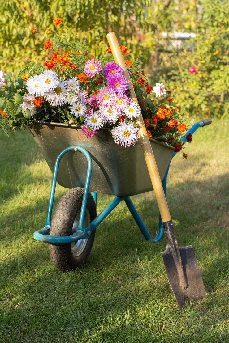 夏の庭で仕事をした後の夜。花と緑の芝生のスペードと手押し車。