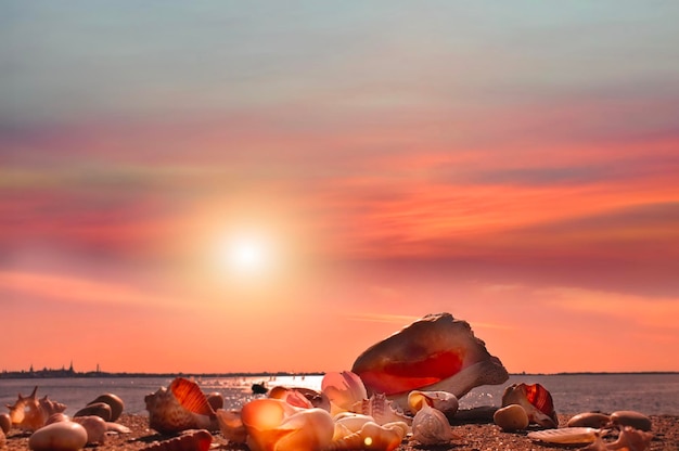 Evening colorful dramatic cloudy blue orange pink sky ar sunset sea beach