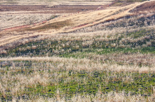 Evening field view rural background