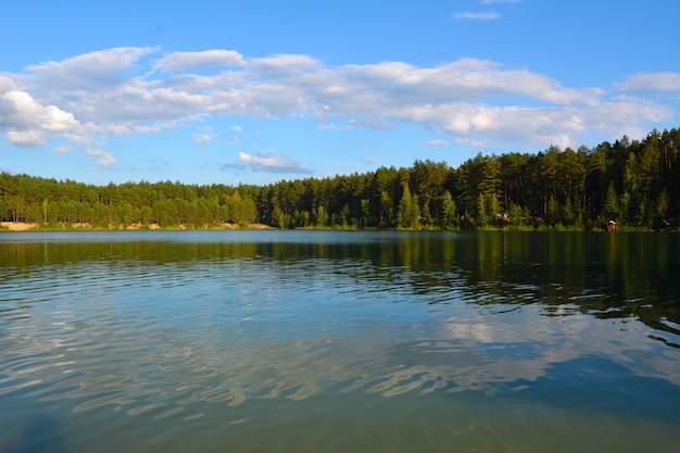 Serata sul lago in una pineta. laghi blu nella regione di cernihiv, ucraina