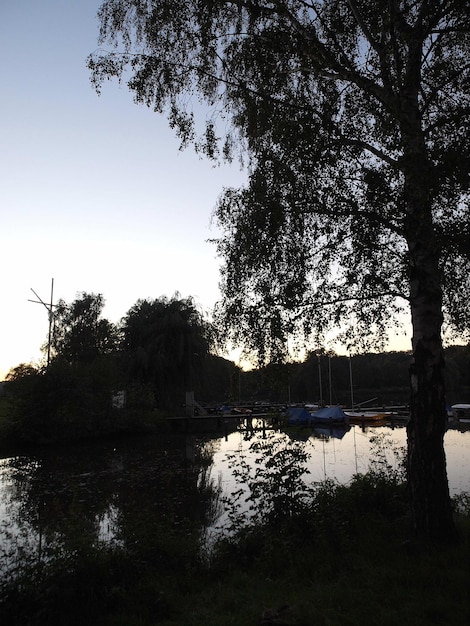 Photo evening at a lake in westphalia