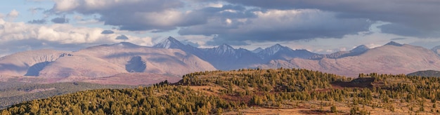 Evening light in the mountains panoramic