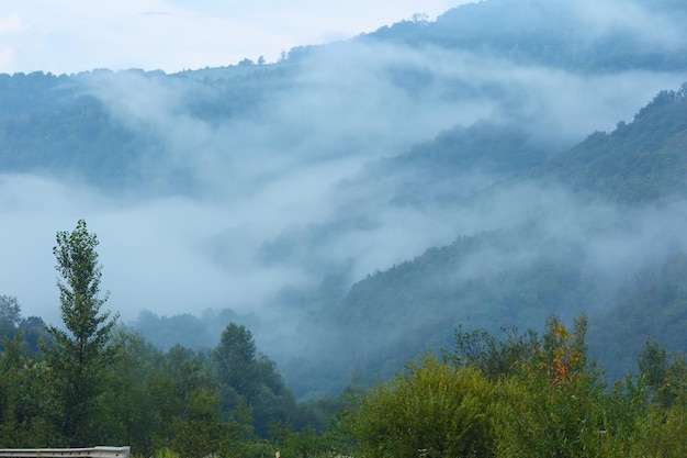 여름 산(Carpathians, Lviv Oblast, Ukraine)의 경사면에 저녁 안개.