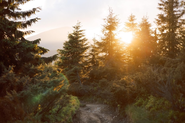 Evening mountain landscape of the Carpathian Mountains