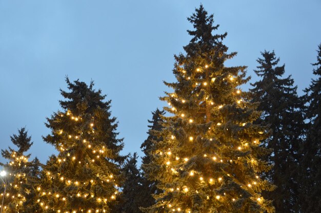 夕方と夜 クリスマスツリーが灯りで輝く 冬の街はぼやけている