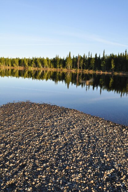 Photo evening river landscape