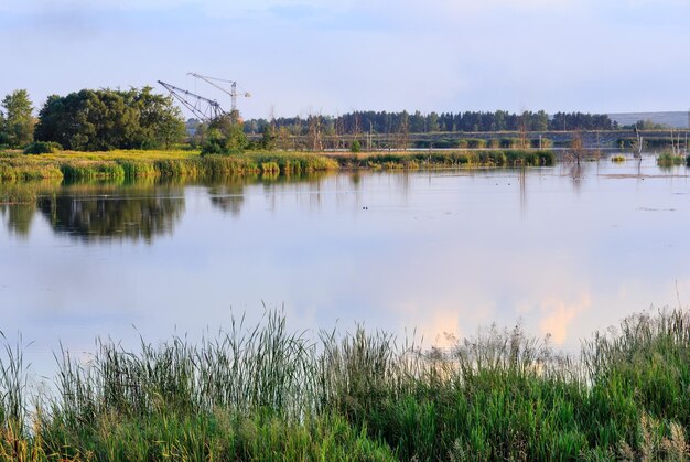 水面に植物が反射する夕方の夏の湖の風景（ウクライナ、リヴィウ州、シュクロ集落の近く）。