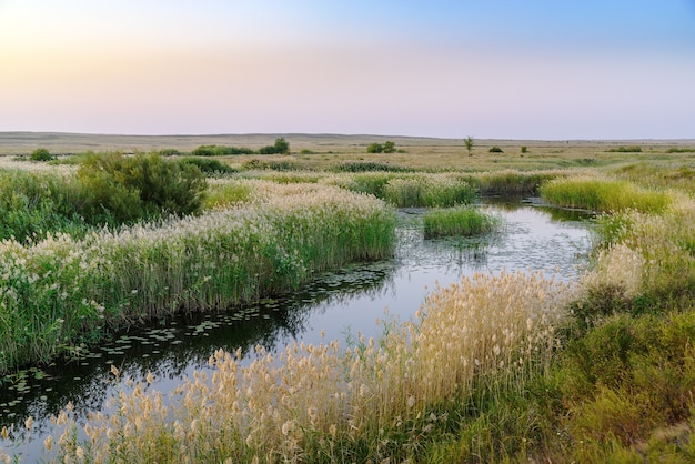 Foto paesaggio estivo serale con un fiume di steppa