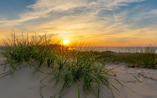 Вечерний вид на небольшую песчаную дюну с зеленой травой