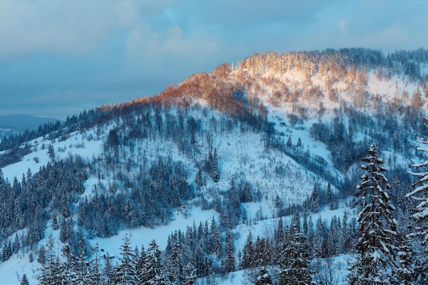 Вечерний зимний украинский пейзаж Карпат