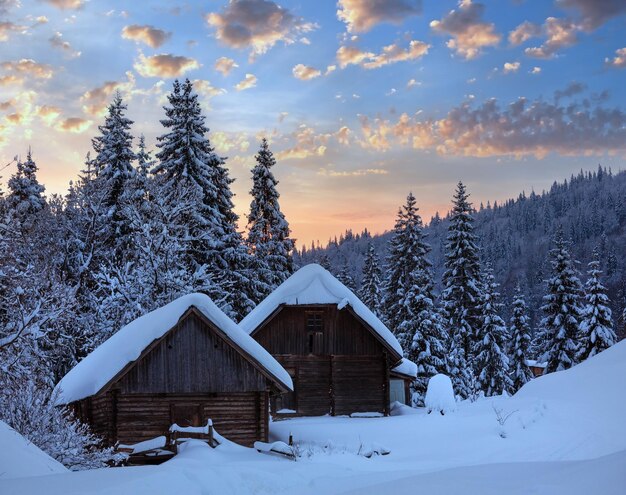 夕方の冬ウクライナのカルパティア山脈の風景