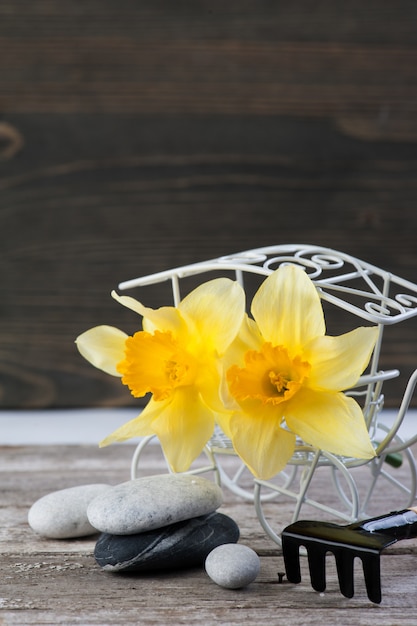 Evenwichtige kiezelstenen en gele bloemen