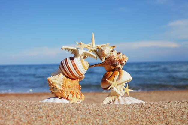evenwichtige pijler van schelpen en sterren op het strand bij de oceaan