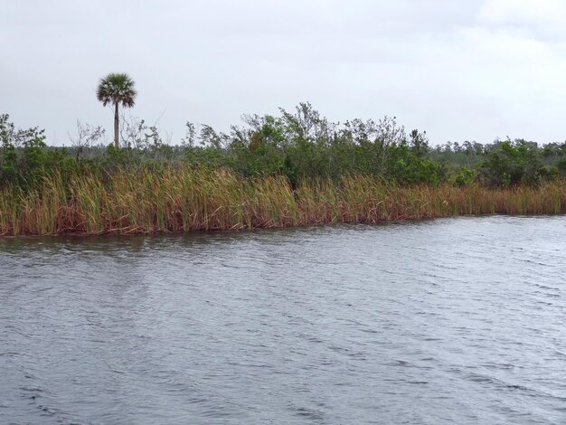 Everglades