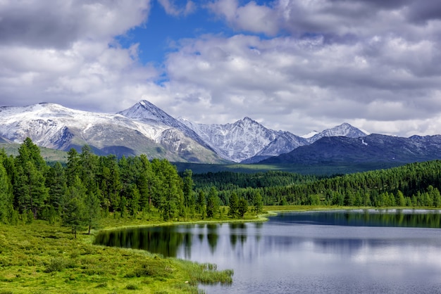 Evergreen trees on mountains and lake landscape